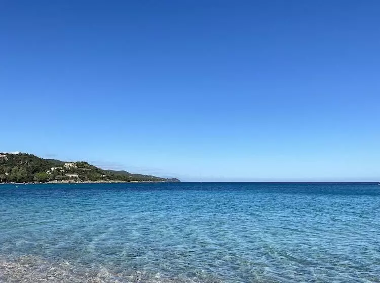 Fotos del hotel Les Pavillons Du Golfe:  16