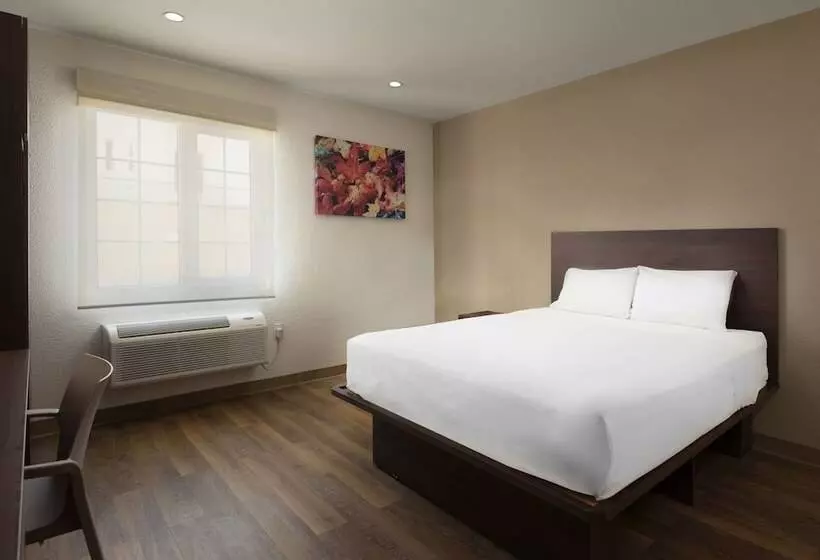 Fotos del hotel Extended Suites Ciudad Juarez Consulado:  10