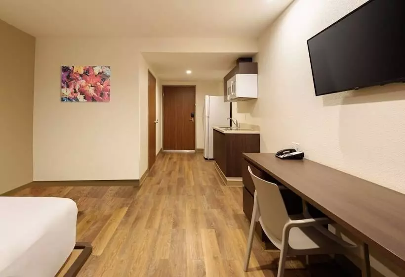 Fotos del hotel Extended Suites Ciudad Juarez Consulado:  17