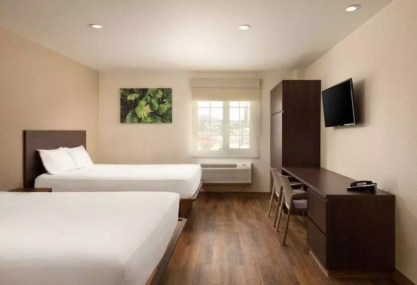 Fotos del hotel Extended Suites Ciudad Juarez Consulado:  23