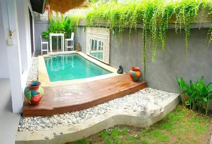 Fotos del hotel Villa Tiga:  2
