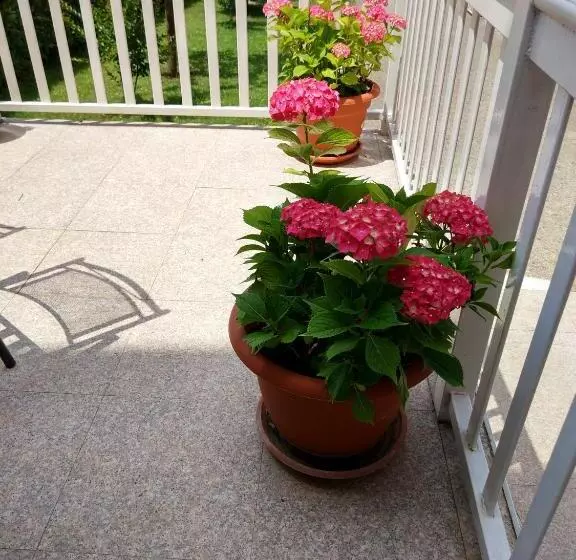 Fotos del hotel Guest House Regina Mundi:  4