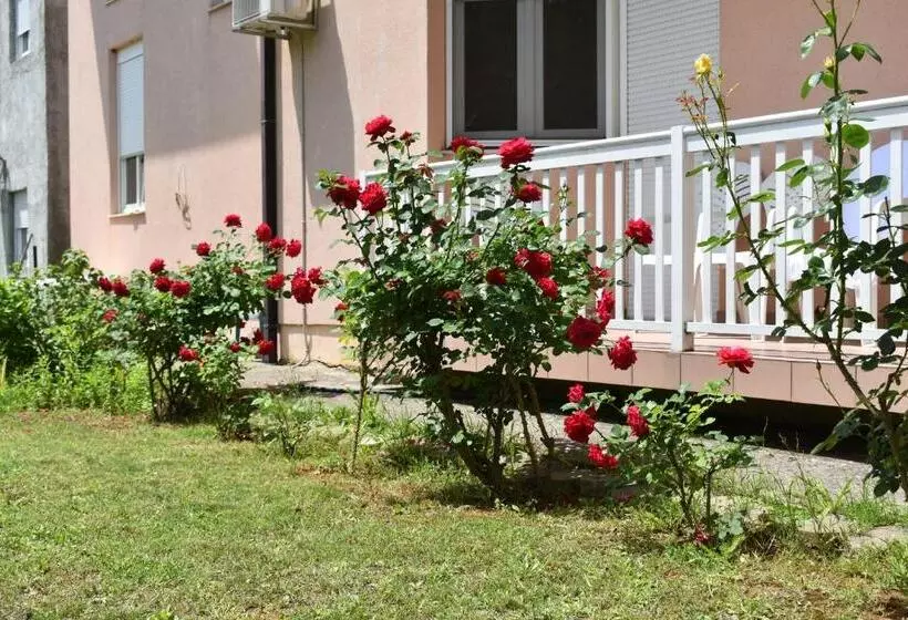 Fotos del hotel Guest House Regina Mundi:  16