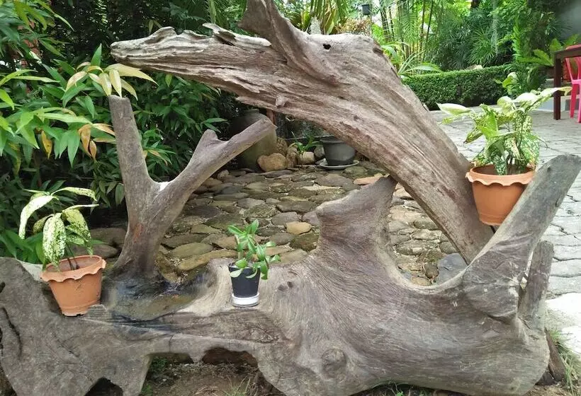 Fotos del hotel Khaolak Tusneem Resort:  15