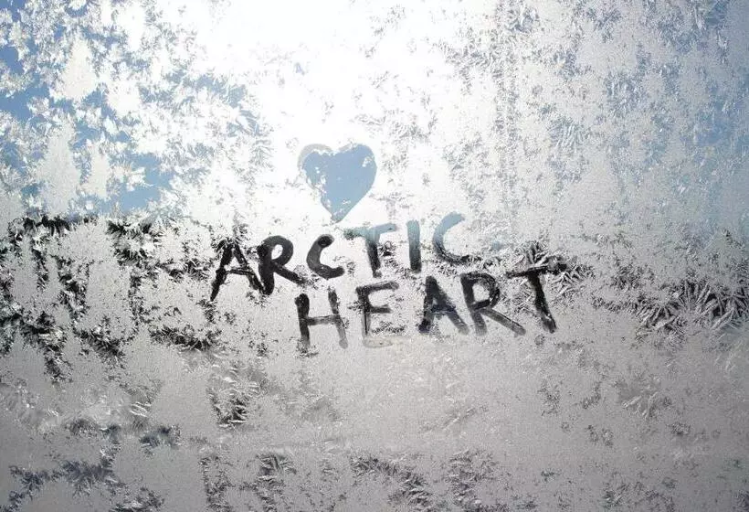 Fotos del hotel Guesthouse Arctic Heart:  17