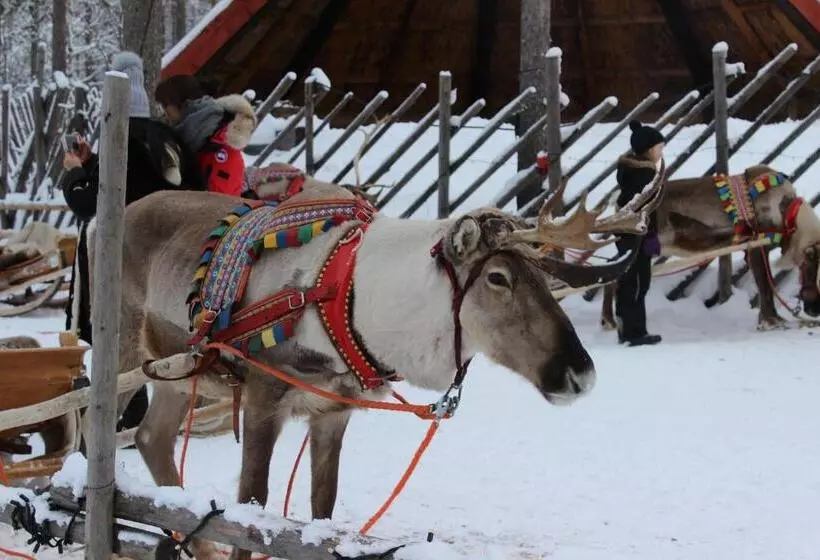Fotos del hotel Guesthouse Arctic Heart:  13