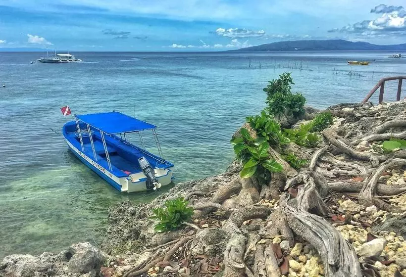 Fotos del hotel Relax Divers Bohol:  15