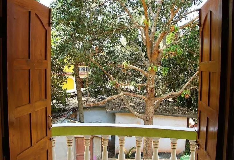 Fotos del hotel Fig Fin Beach Resort:  6