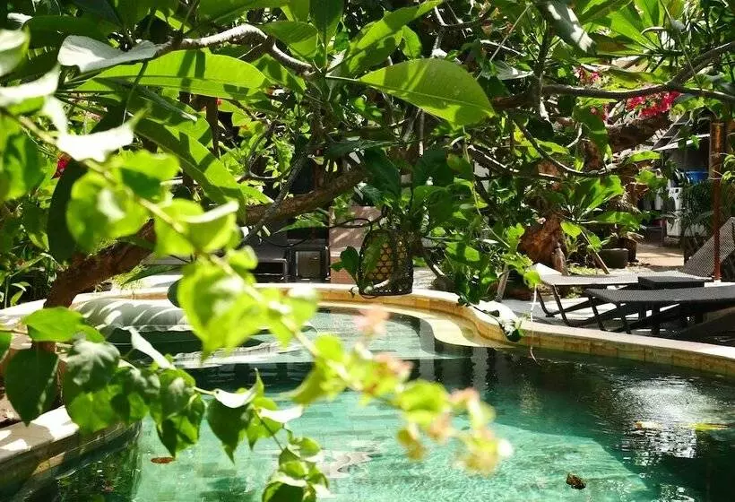 Fotos del hotel Kalua Boutique Bungalows:  7