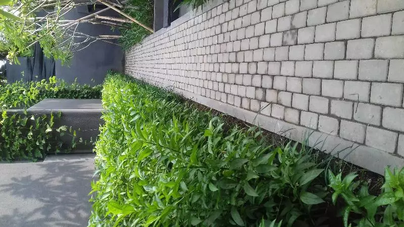 Fotos del hotel Origin Ubud:  9