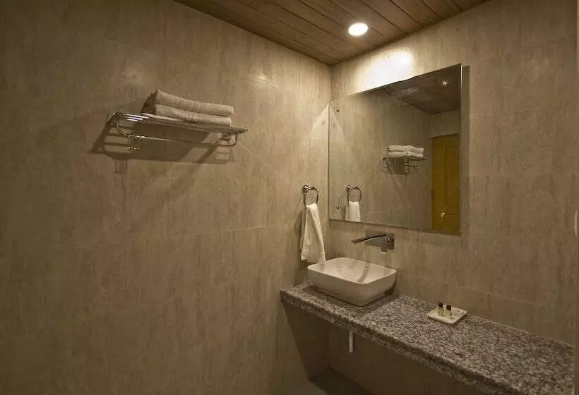Fotos del hotel Sarthak Regency:  6