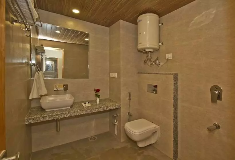 Fotos del hotel Sarthak Regency:  17