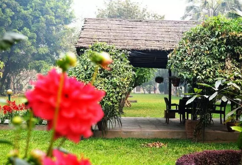 Fotos del hotel Chitwan Paradise:  24