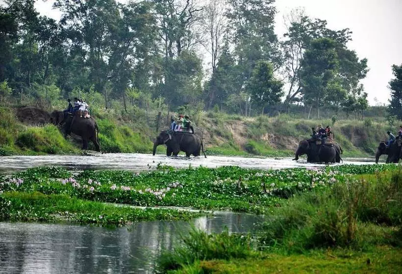 Fotos del hotel Chitwan Paradise:  13