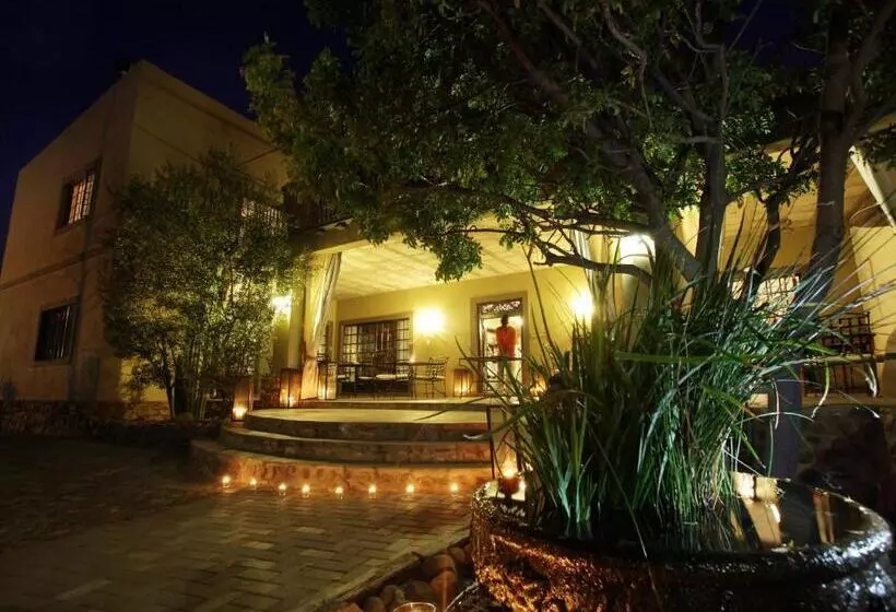 Fotos del hotel Olive Grove Guesthouse:  20