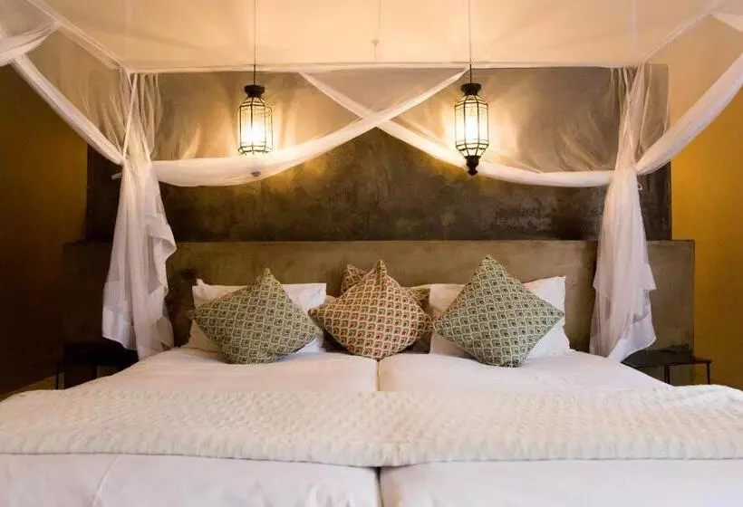 Fotos del hotel Olive Grove Guesthouse:  22
