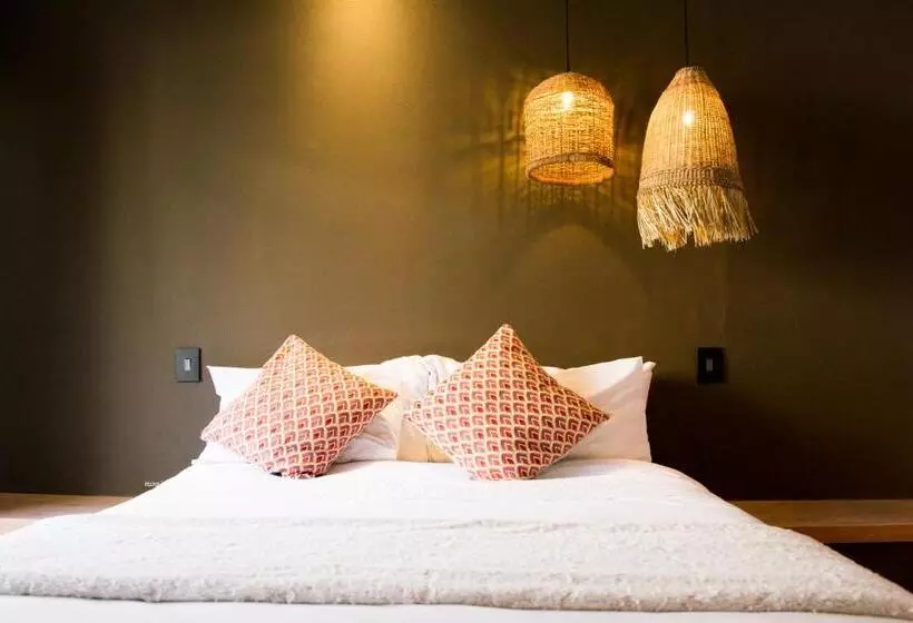 Olive Grove Guesthouse