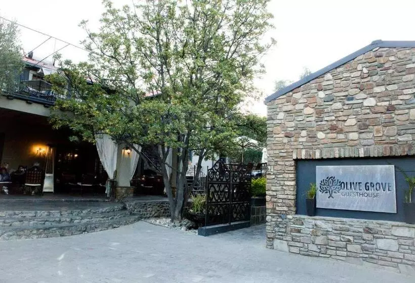 Fotos del hotel Olive Grove Guesthouse:  17