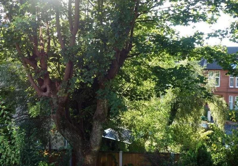 Fotos del hotel Claremont House B&b:  4