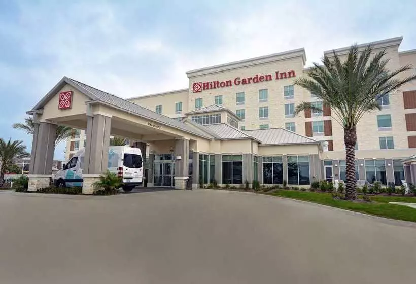 Fotos del hotel Hilton Garden Inn Houston Hobby Airport:  16