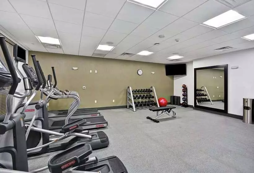 Fotos del hotel Hilton Garden Inn Houston Hobby Airport:  6