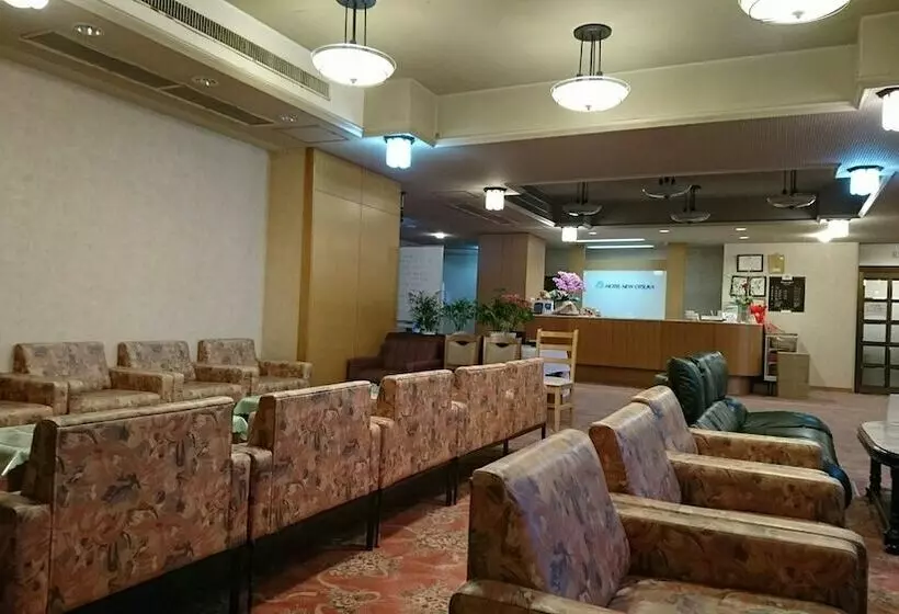 Fotos del hotel New Otsuka:  3