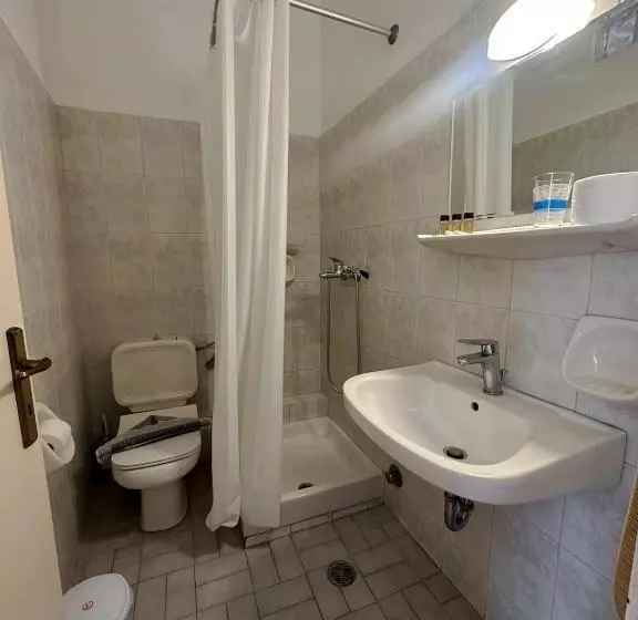 Fotos del hotel Vassilikon:  6