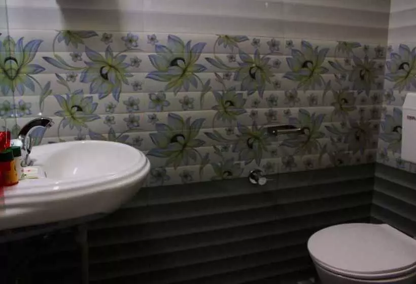 Fotos del hotel Anuj Regency:  11