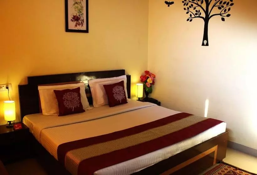 Fotos del hotel Anuj Regency:  14