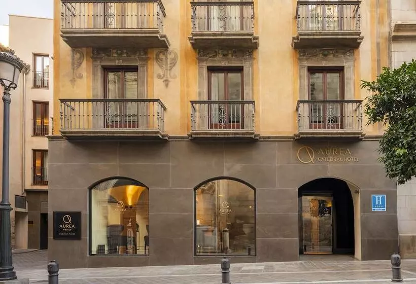 Fotos del hotel Áurea Catedral:  7