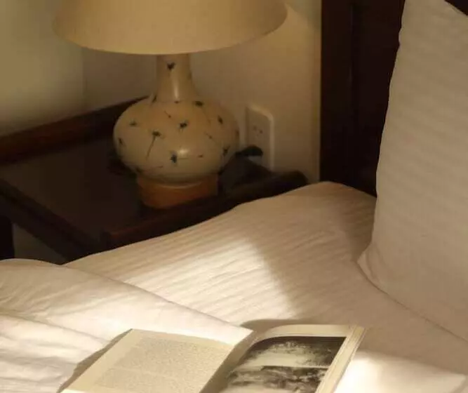 Fotos del hotel The Han:  23