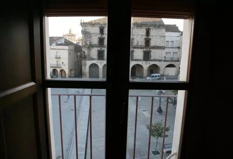 Fotos del hotel Alojamientos Plaza Mayor:  13