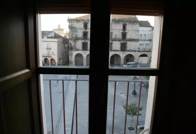Fotos del hotel Alojamientos Plaza Mayor:  6