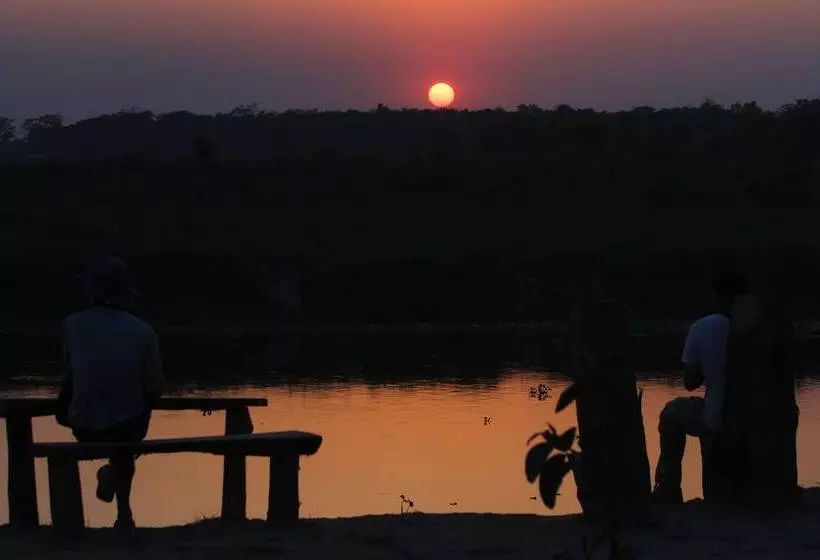 Fotos del hotel Jungle Sunset Camp:  8