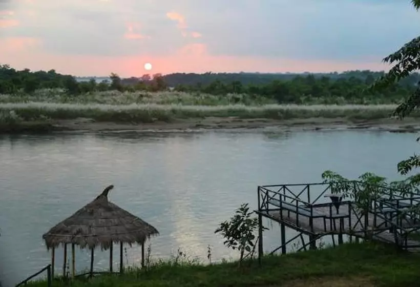 Fotos del hotel Jungle Sunset Camp:  4