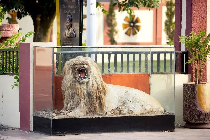 Fotos del hotel Frederick's Lodge:  22