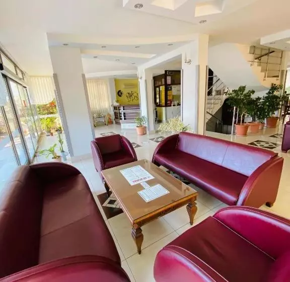 Fotos del hotel Lemon:  25