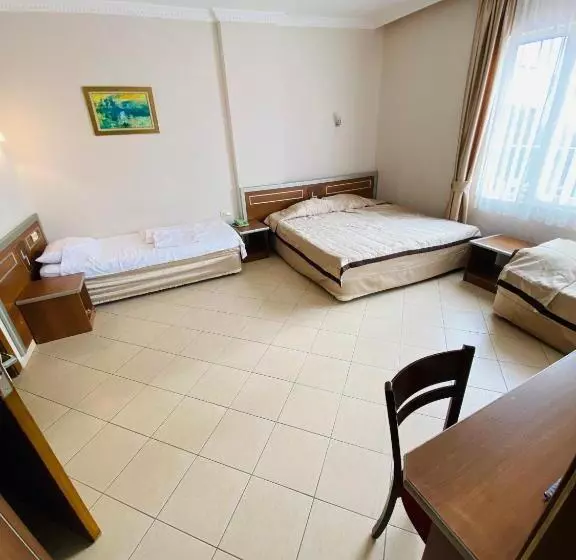 Fotos del hotel Lemon:  17