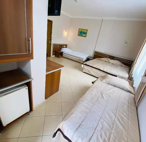 Fotos del hotel Lemon:  20