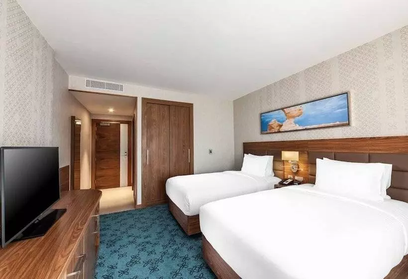 Fotos del hotel Hilton Garden Inn Dubai Al Jadaf Culture Village:  11