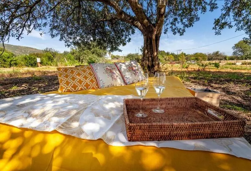Fotos del hotel Mercedes Country House:  20