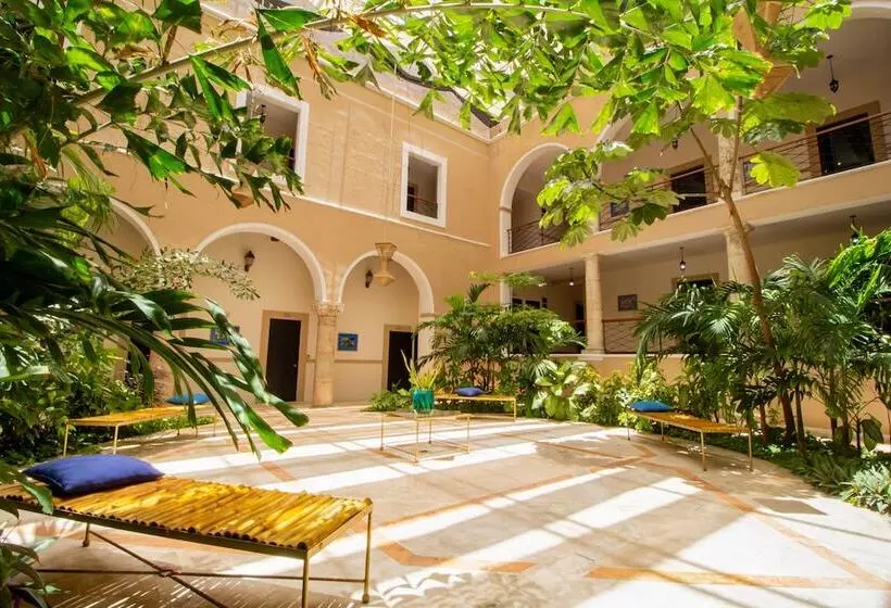 Fotos del hotel Merida:  10