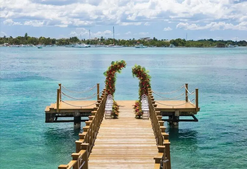 Fotos del hotel Dreams La Romana All-Inclusive Resort &amp; Spa:  21