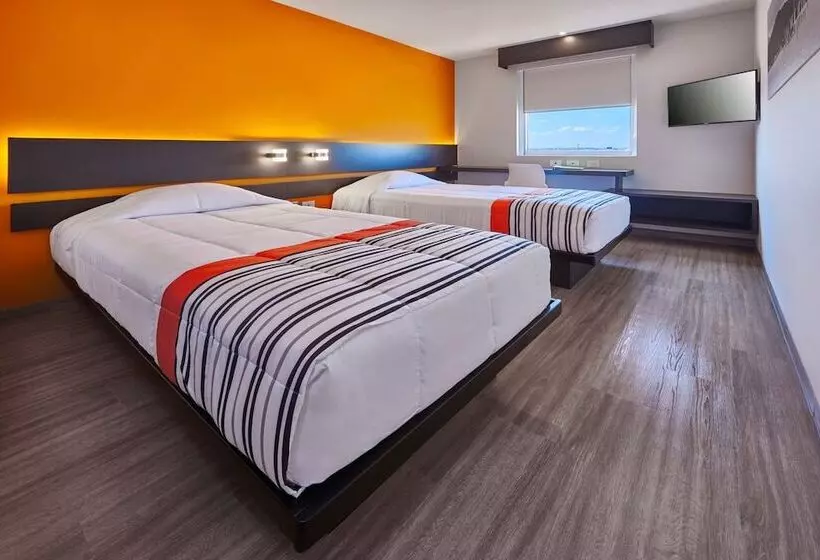 Fotos del hotel City Express Junior Cdmx Sullivan:  4