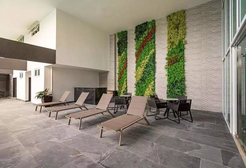 Fotos del hotel Ames:  6
