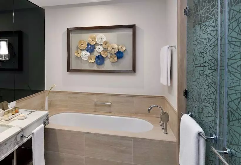 Fotos del hotel Grand Plaza Mövenpick:  25