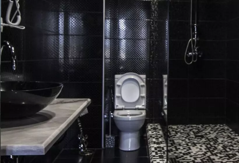 Fotos del hotel Boutique  Biotel:  5