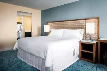 Walt Disney World Dolphin - Lake Buena Vista