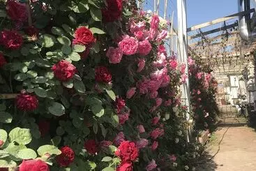 Manhong's Private Courtyard - Tongzhou