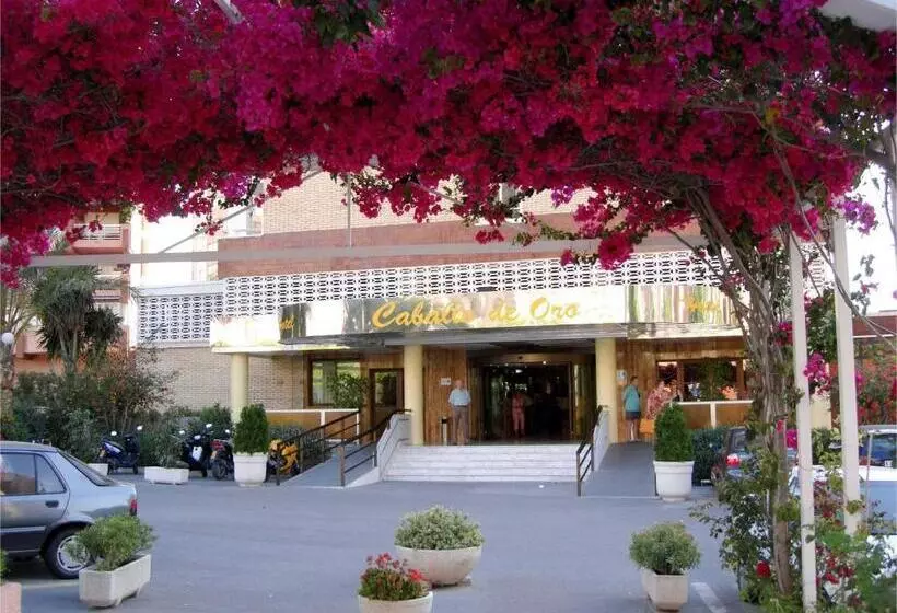 Fotos del hotel Caballo De Oro:  11